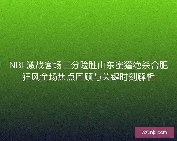 NBL激战客场三分险胜山东蜜獾绝杀合肥狂风全场焦点回顾与关键时刻解析 NBL激战客场三分险胜山东蜜獾绝杀合肥狂风全场焦点回顾与关键时刻解析