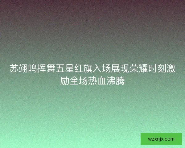 苏翊鸣挥舞五星红旗入场展现荣耀时刻激励全场热血沸腾 苏翊鸣挥舞五星红旗入场展现荣耀时刻激励全场热血沸腾